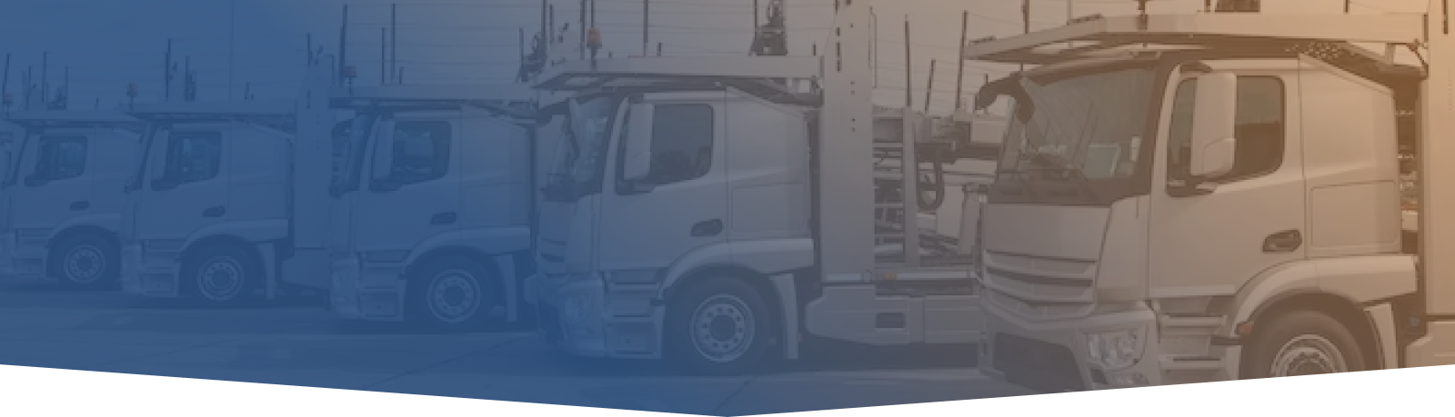 service-banner